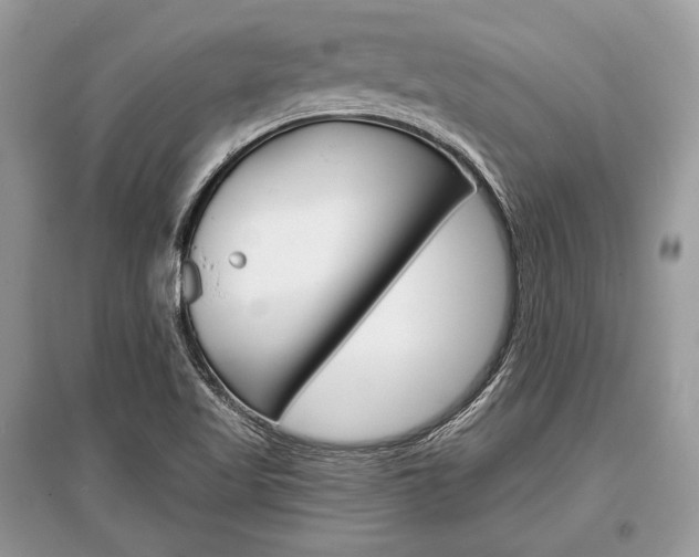 X0000096381509200801240951
