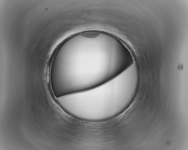 X0000096381510200801240951