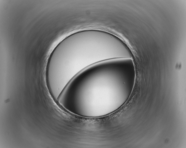 X0000096381512200801240951
