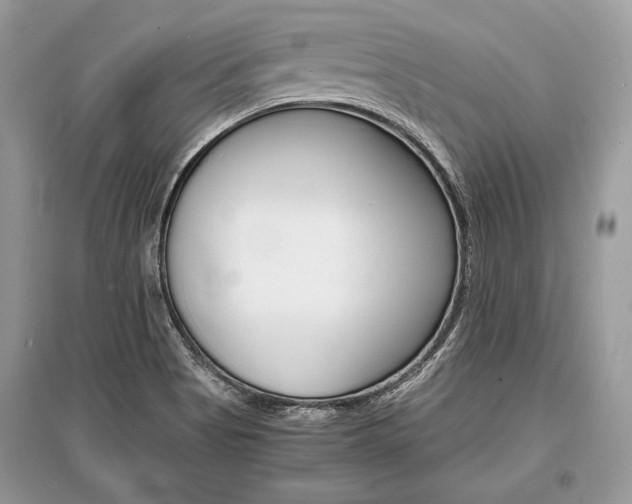 X0000096381513200801240951