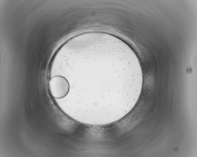 X0000096381514200801240951