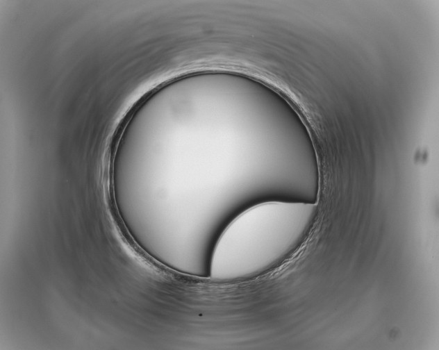 X0000096381515200801240951