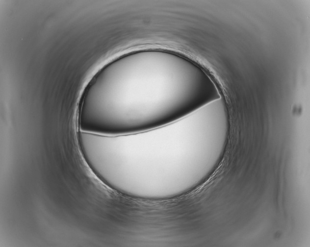 X0000096381516200801240951