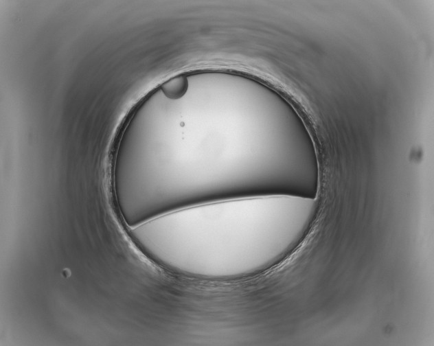 X0000096381517200801240951