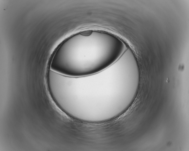 X0000096381518200801240951