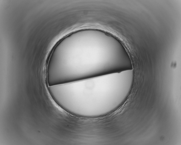 X0000096381519200801240951