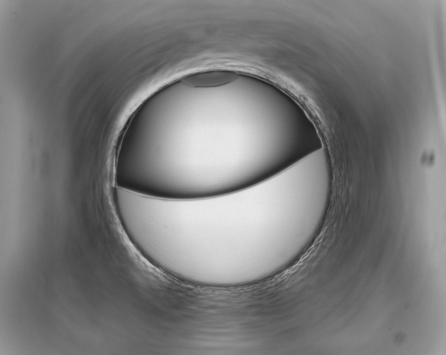 X0000096381520200801240951
