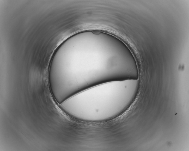 X0000096381521200801240951