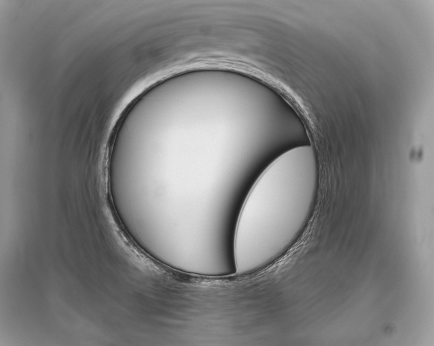 X0000096381522200801240951