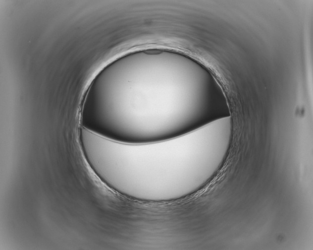 X0000096381524200801240951