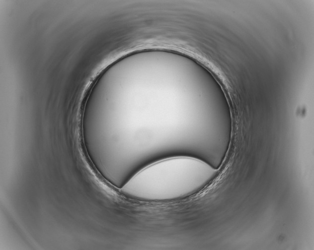 X0000096381525200801240951