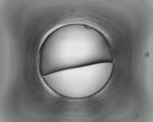X0000096381526200801240951