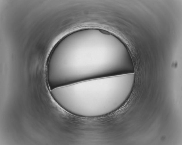 X0000096381527200801240951