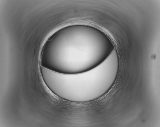 X0000096381528200801240951