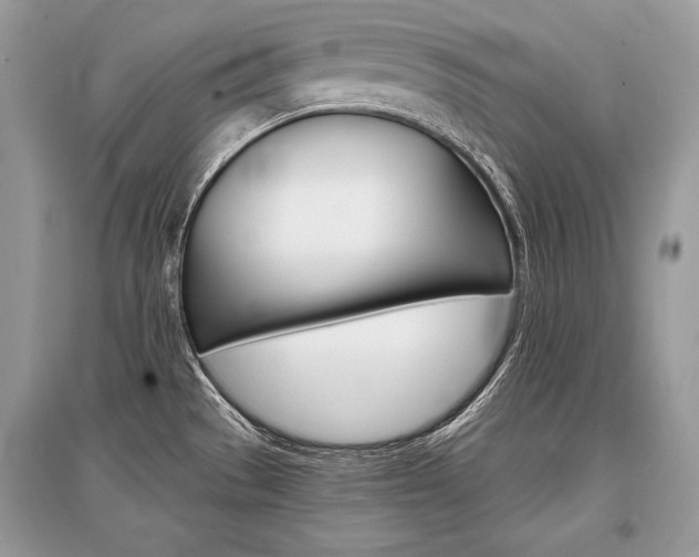 X0000096381529200801240951
