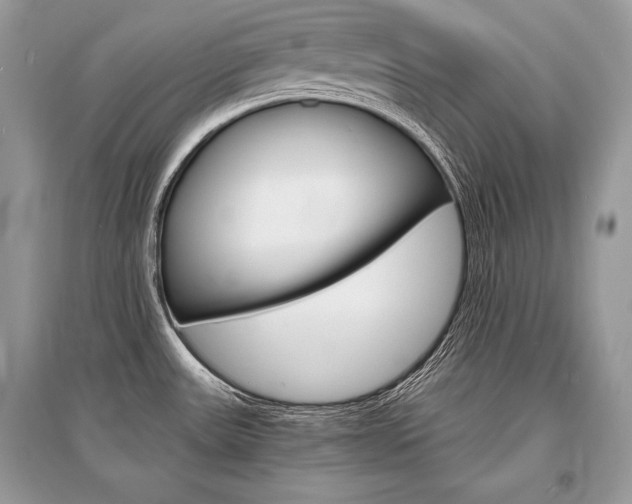 X0000096381531200801240951