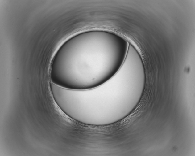 X0000096381532200801240951