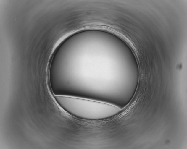 X0000096381533200801240951