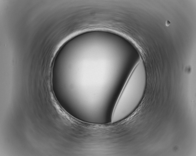 X0000096381534200801240951