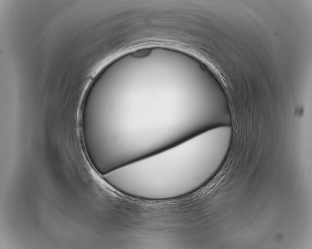 X0000096381535200801240951