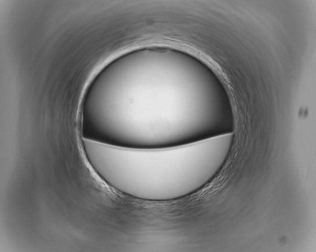 X0000096381536200801240951