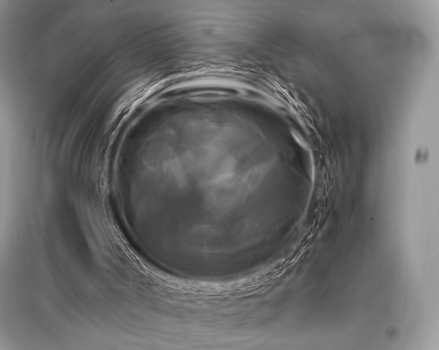 X0000096380002200801241248