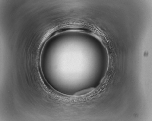 X0000096380003200801241248