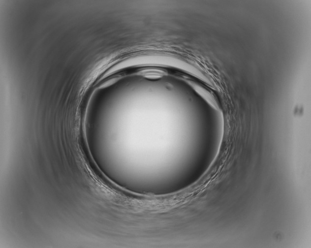 X0000096380005200801241248