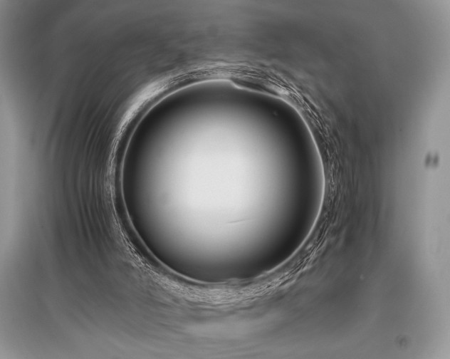 X0000096380006200801241248