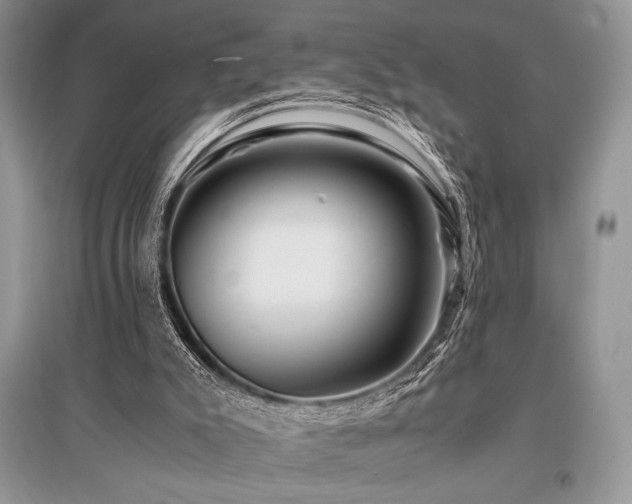 X0000096380007200801241248