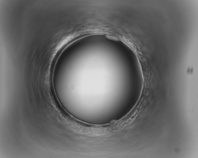 X0000096380008200801241248