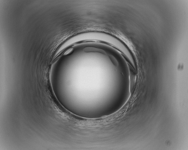 X0000096380009200801241248