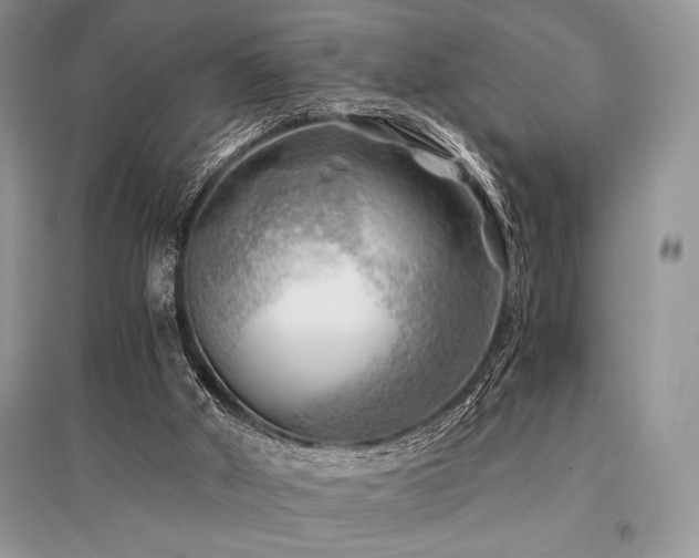 X0000096380010200801241248