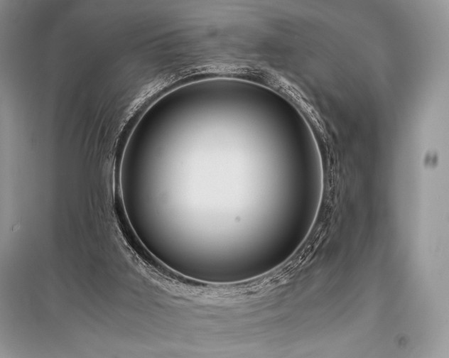 X0000096380011200801241248