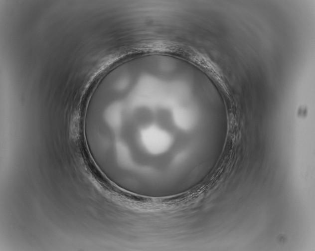 X0000096380012200801241248