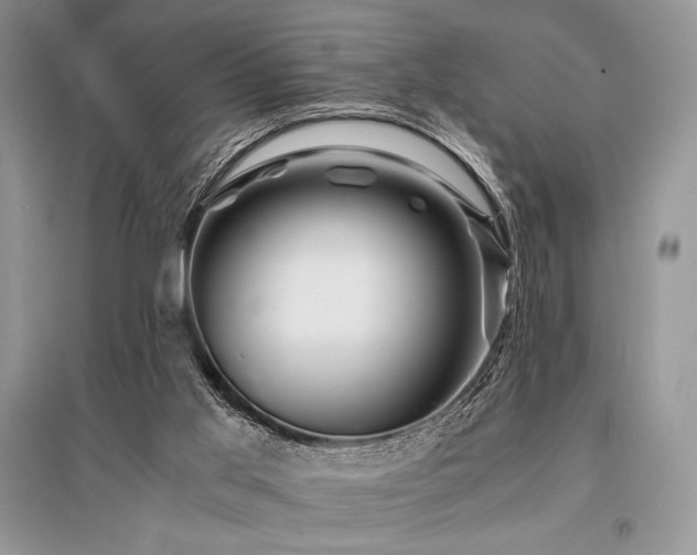 X0000096380013200801241248