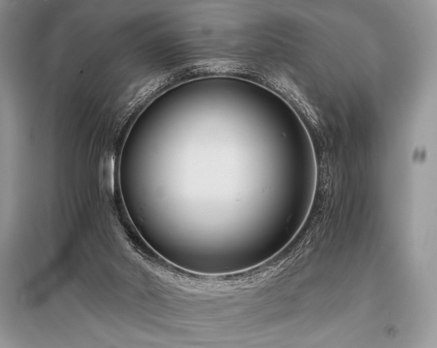 X0000096380014200801241248