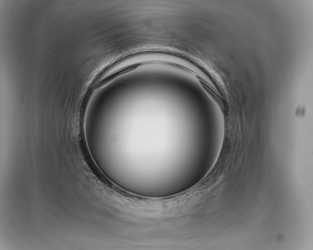 X0000096380015200801241248