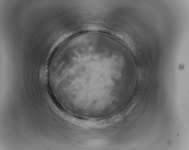 X0000096380016200801241248