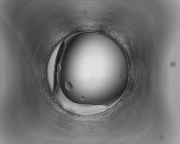 X0000096380017200801241248
