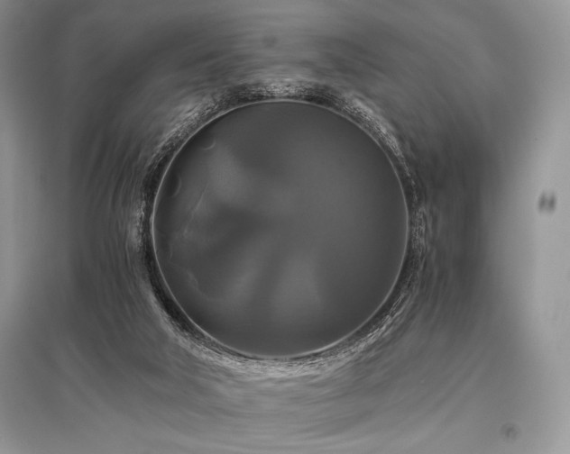 X0000096380018200801241248
