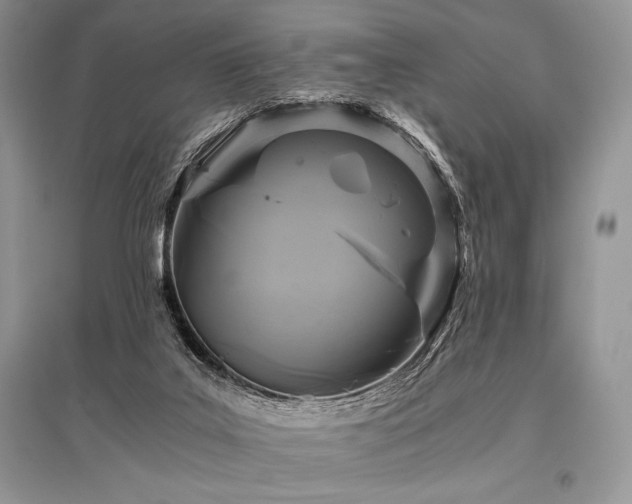 X0000096380019200801241248