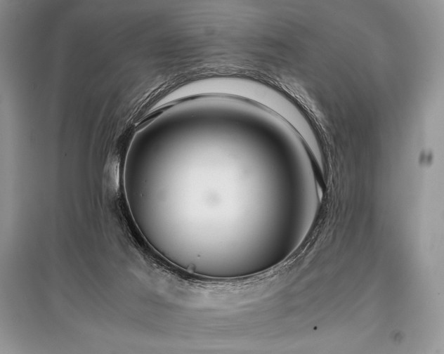 X0000096380021200801241248
