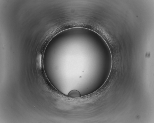 X0000096380022200801241247