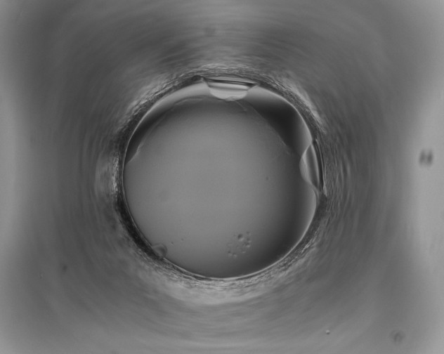 X0000096380023200801241247