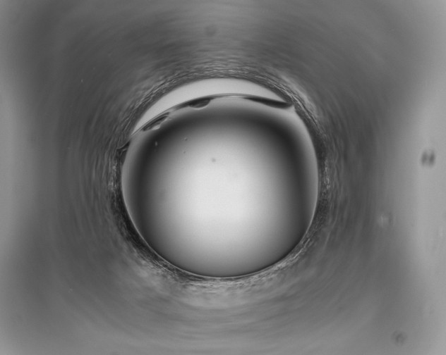 X0000096380025200801241247
