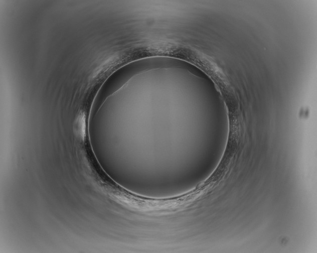 X0000096380027200801241247