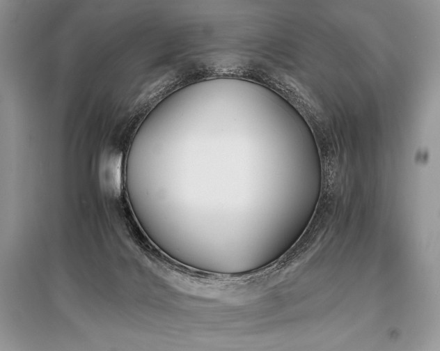 X0000096380028200801241247