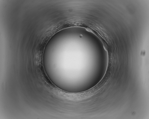 X0000096380030200801241247