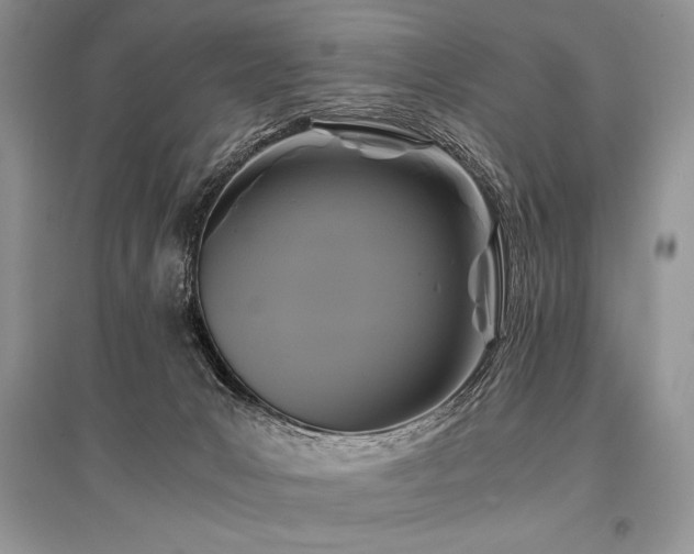 X0000096380031200801241247